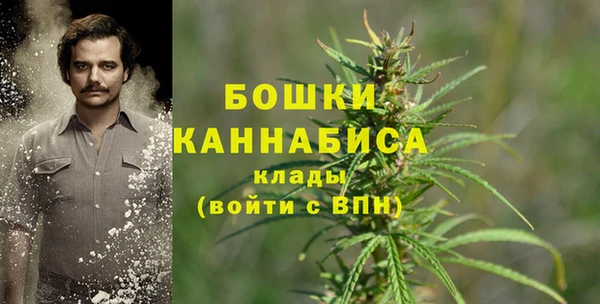 эйфоретик Нея
