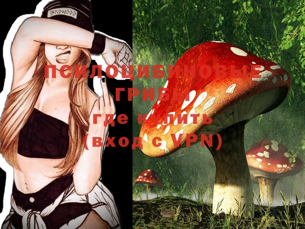 скорость Нефтекумск