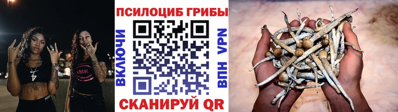 Галлюциногенные грибы ЛСД  Корсаков 
