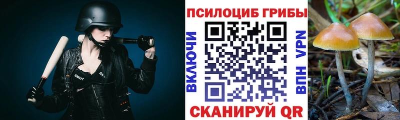 Псилоцибиновые грибы мицелий Корсаков