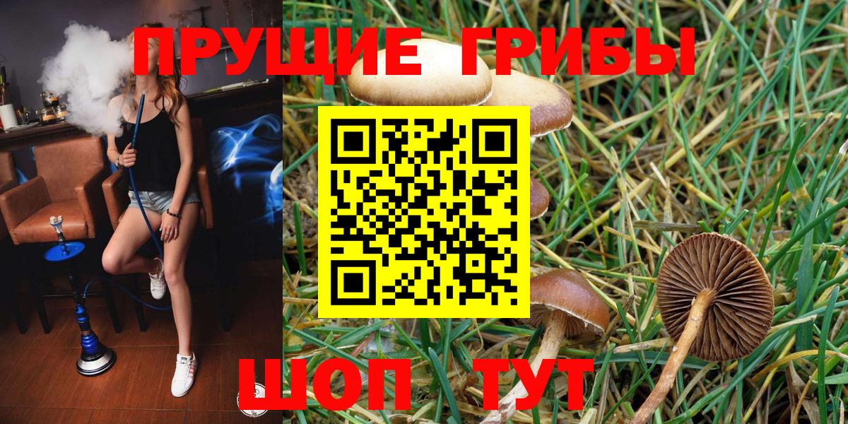 Псилоцибиновые грибы мицелий  Вход с VPN  Корсаков 