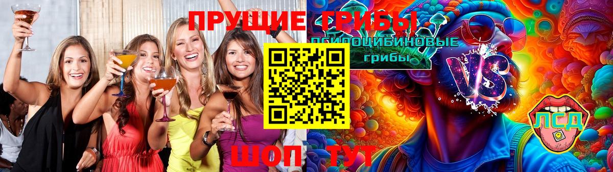 Псилоцибиновые грибы Psilocybe  Корсаков  Галлюциногенные грибы GOLDEN TEACHER 