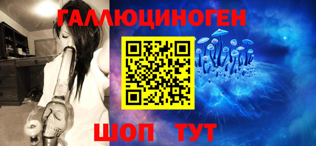 Галлюциногенные грибы Magic Shrooms Корсаков