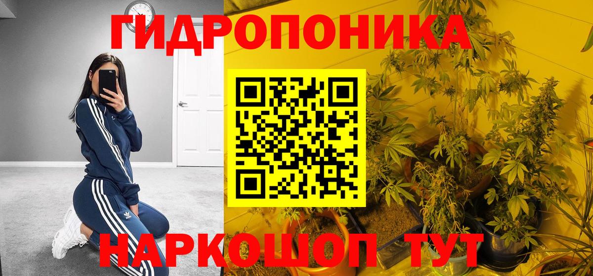 Конопля AK-47 Корсаков
